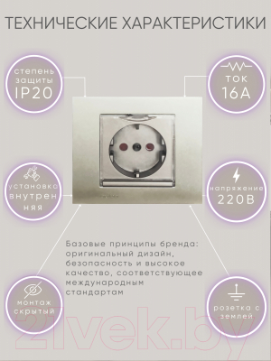 Розетка Ovivo 600-000313-243