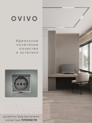 Розетка Ovivo 600-000311-243