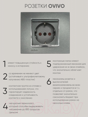 Розетка Ovivo 600-000311-243