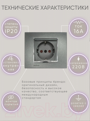 Розетка Ovivo 600-000311-243