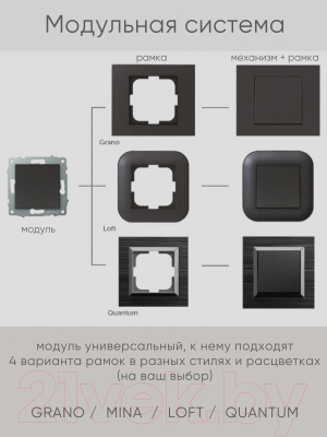 Розетка Ovivo 600-000311-243