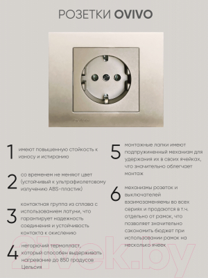 Розетка Ovivo 600-000313-217