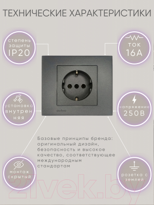 Розетка Ovivo 600-000311-217