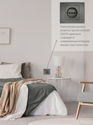 Розетка Ovivo 600-000311-217