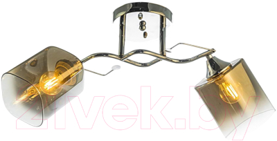 Потолочный светильник Aitin-Pro НПБ 02-2x60-101 / 6011/2 - фото