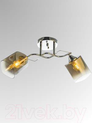 Потолочный светильник Aitin-Pro НПБ 02-2x60-101 / 6011/2