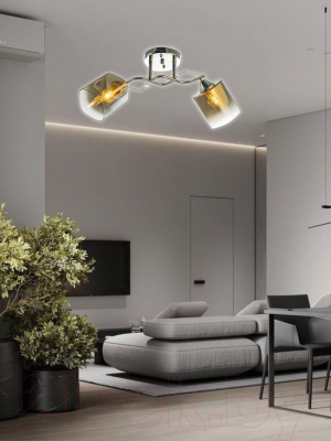 Потолочный светильник Aitin-Pro НПБ 02-2x60-101 / 6011/2