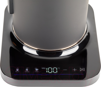 Электрочайник Evolution KP22151L