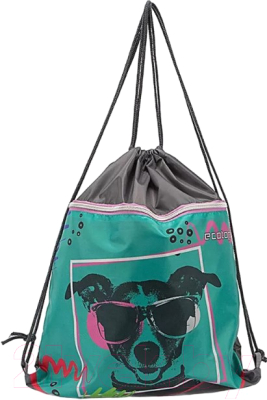 Мешок для обуви Ecotope Kids Рассел / 057-M588-160-CLR - фото