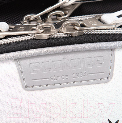 Школьный рюкзак Ecotope Kids Енот / 057-540Y-18-LCR