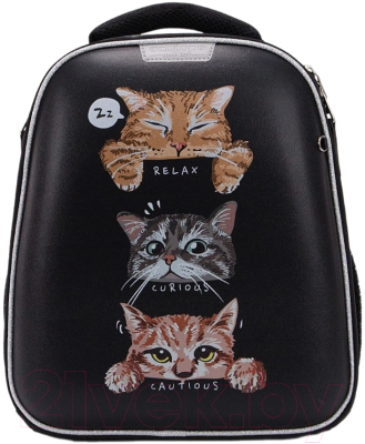 Школьный рюкзак Ecotope Kids Коты / 057-540Y-19-BCL - фото