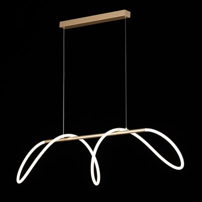 Потолочный светильник Citilux Eva CL210122