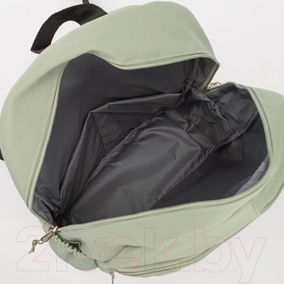 Рюкзак Valigetti 308-3962-MNT