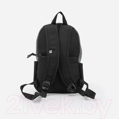 Рюкзак Valigetti 308-M11-BGR