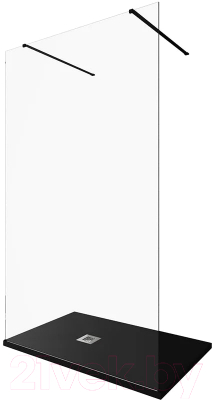 Душевая стенка Allen Brau Infinity 2 3.21045.BBA / 323837