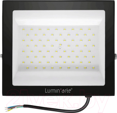Прожектор LuminArte LFL-100W/06 - фото