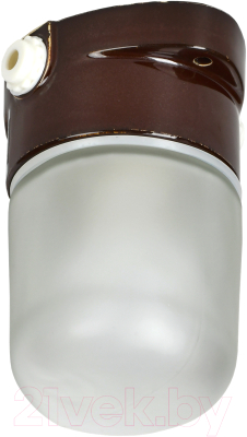 Светильник ЖКХ Generica Для бани и сауны НПБ 450-2 IP54 / TA-NPB0-4502-060-K30-G - фото