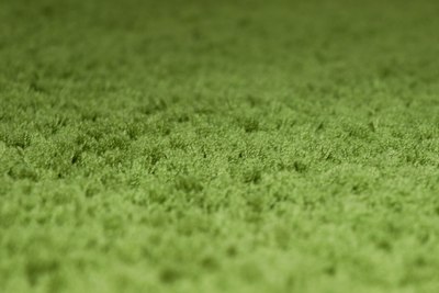 Ковер Витебские ковры Микрофибра 21С1-БК/ЭО 11000 20