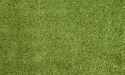 Ковер Витебские ковры Микрофибра 21С1-БК/ЭО 11000 20 - фото