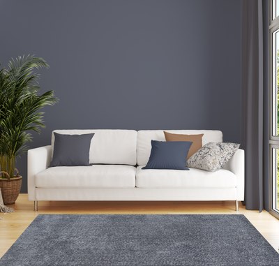 Ковер Витебские ковры Микрофибра 21С1-БК/ЭО 11000 66