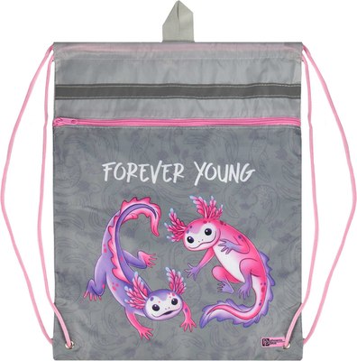 Мешок для обуви Феникс+ Парочка аксолотлей / 66188