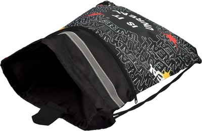 Мешок для обуви Феникс+ Панк 2 / 66241