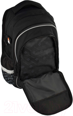 Школьный рюкзак Феникс+ Яростный кот / 64149