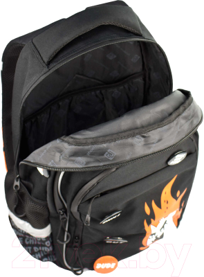 Школьный рюкзак Феникс+ Яростный кот / 64149