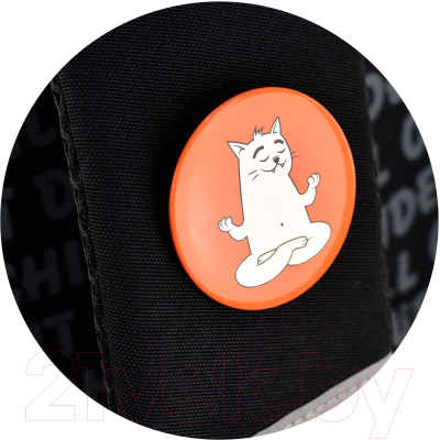 Школьный рюкзак Феникс+ Яростный кот / 64149