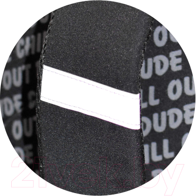 Школьный рюкзак Феникс+ Яростный кот / 64149