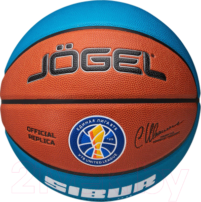 Баскетбольный мяч Jogel Pro Training Ecoball 2.0 Replica №5 - фото