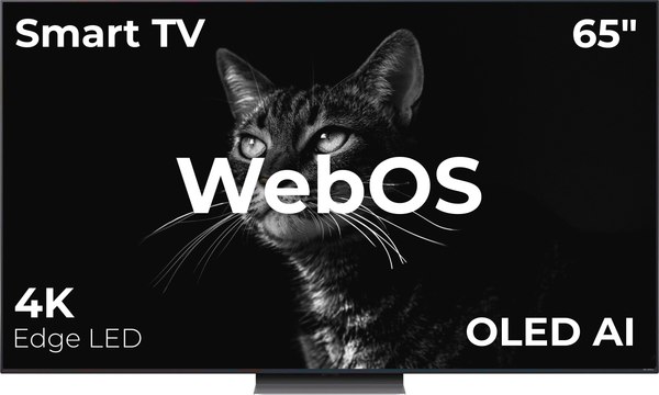 Телевизор LG 65