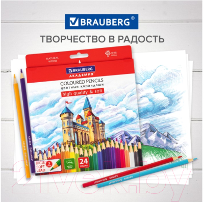 Набор цветных карандашей Brauberg Академия / 181866