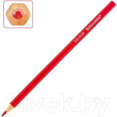 Набор цветных карандашей Brauberg Академия / 181866