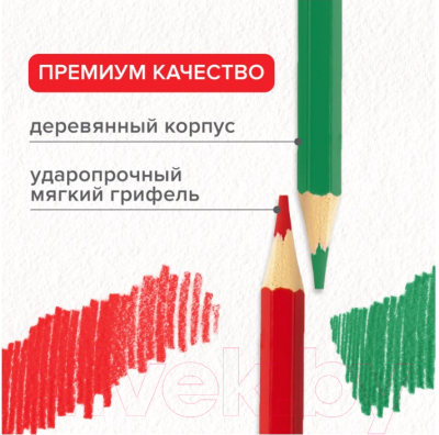 Набор цветных карандашей Brauberg Академия / 181866