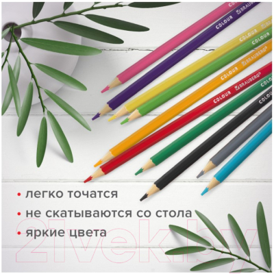 Набор цветных карандашей Brauberg Академия / 181866