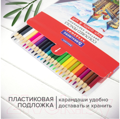 Набор цветных карандашей Brauberg Академия / 181866