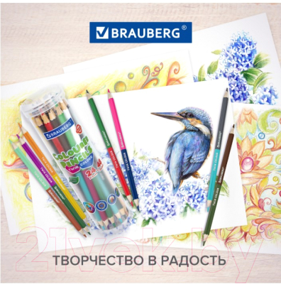 Набор цветных карандашей Brauberg Premium Twin Colour / 181876