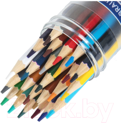 Набор цветных карандашей Brauberg Premium Twin Colour / 181876