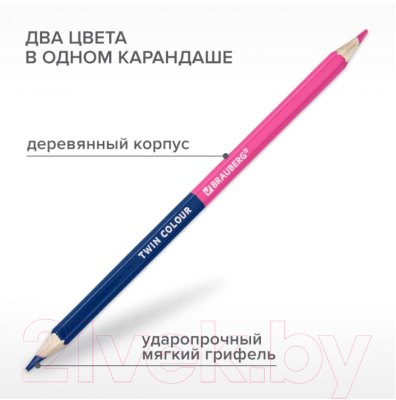 Набор цветных карандашей Brauberg Premium Twin Colour / 181876