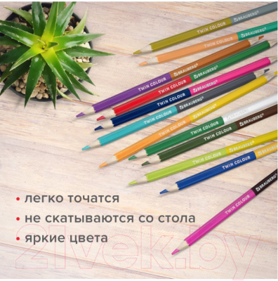 Набор цветных карандашей Brauberg Premium Twin Colour / 181876