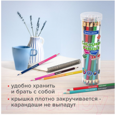 Набор цветных карандашей Brauberg Premium Twin Colour / 181876