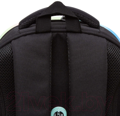 Школьный рюкзак Grizzly RAz-486-2