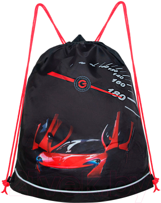 Мешок для обуви Grizzly OM-41-8 - фото