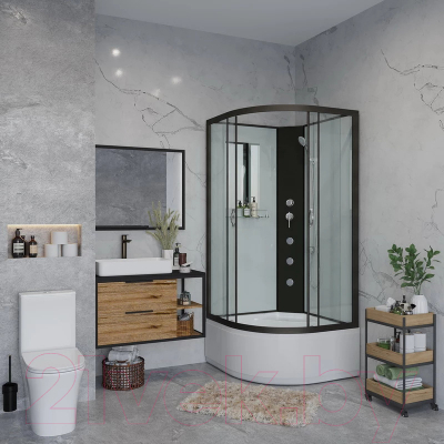 Душевая кабина Niagara NG-6709-14BKG 100x100x200 (прозрачное стекло/черный)