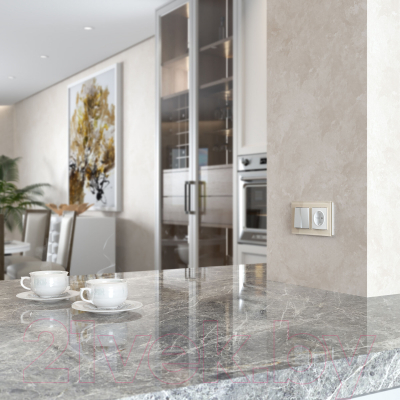 Розетка Werkel Ретро W5671014