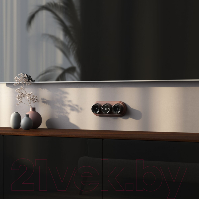 Розетка Werkel Ретро ТВ W5683008