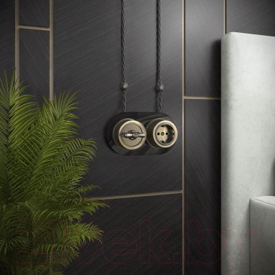 Розетка Werkel Ретро W5771012