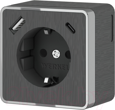 Розетка Werkel Gallant W5071704 - фото