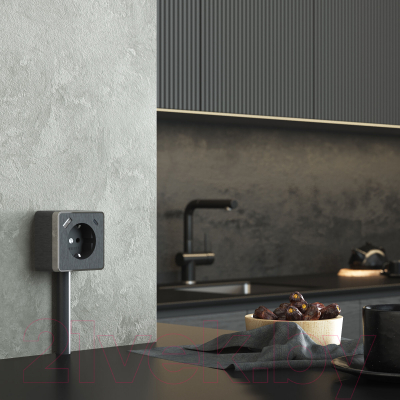 Розетка Werkel Gallant W5071704